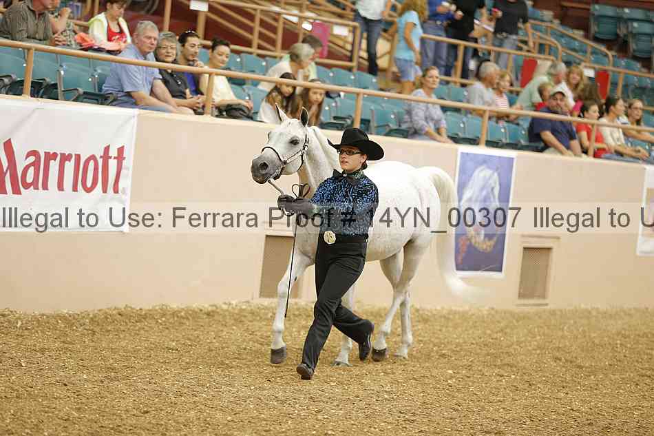 Proof 14yn_00307