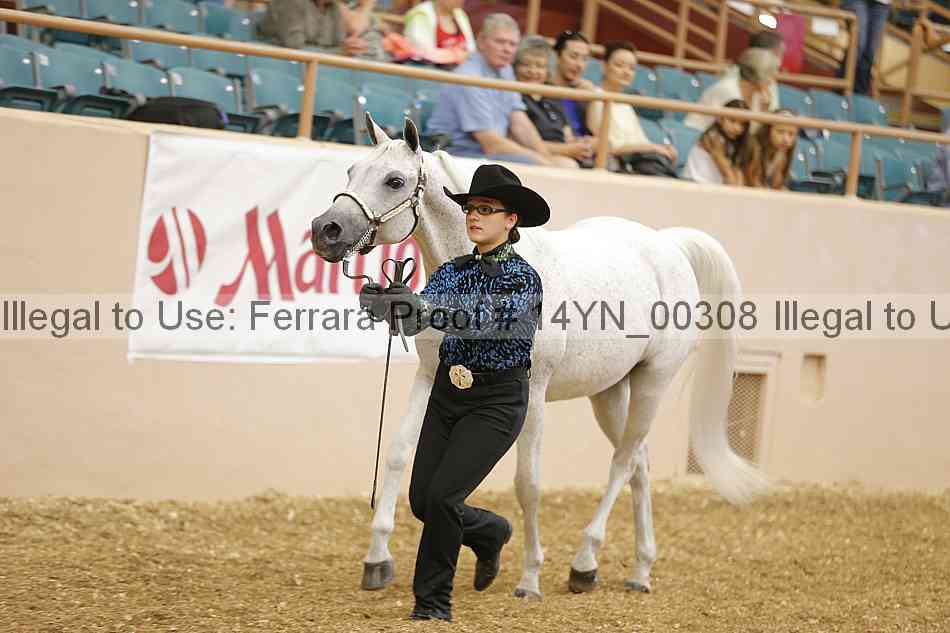 Proof 14yn_00308