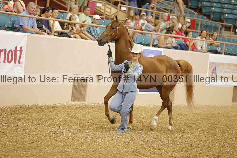 Proof 14yn_00351