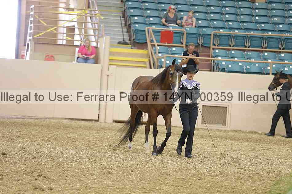 Proof 14yn_00359