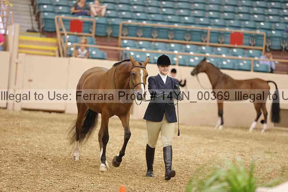 Proof 14yn_00369