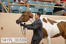 14yn_00389 proof