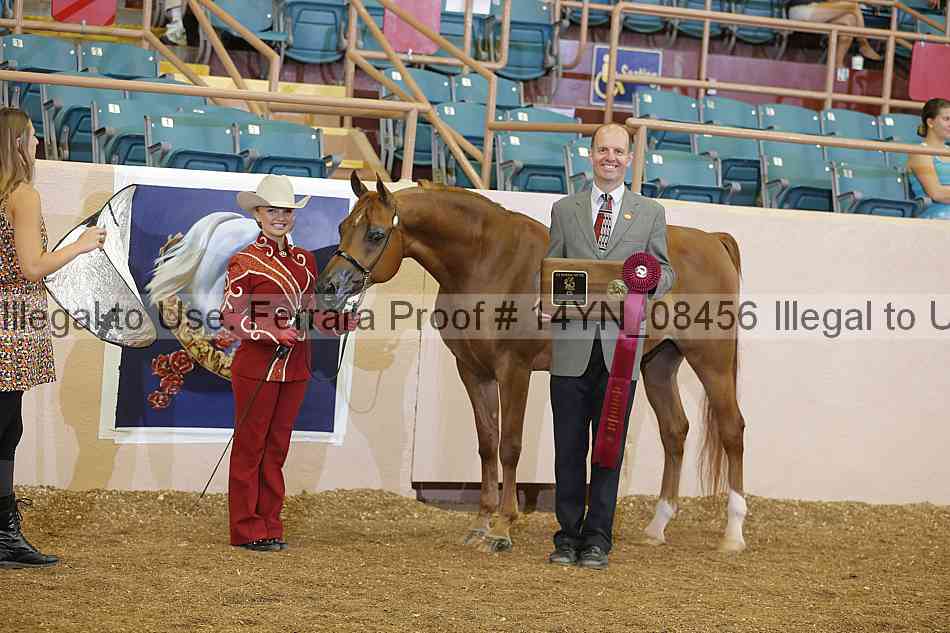 Proof 14yn_08456