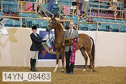 14yn_08463 proof