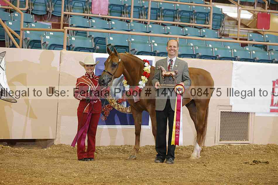 Proof 14yn_08475