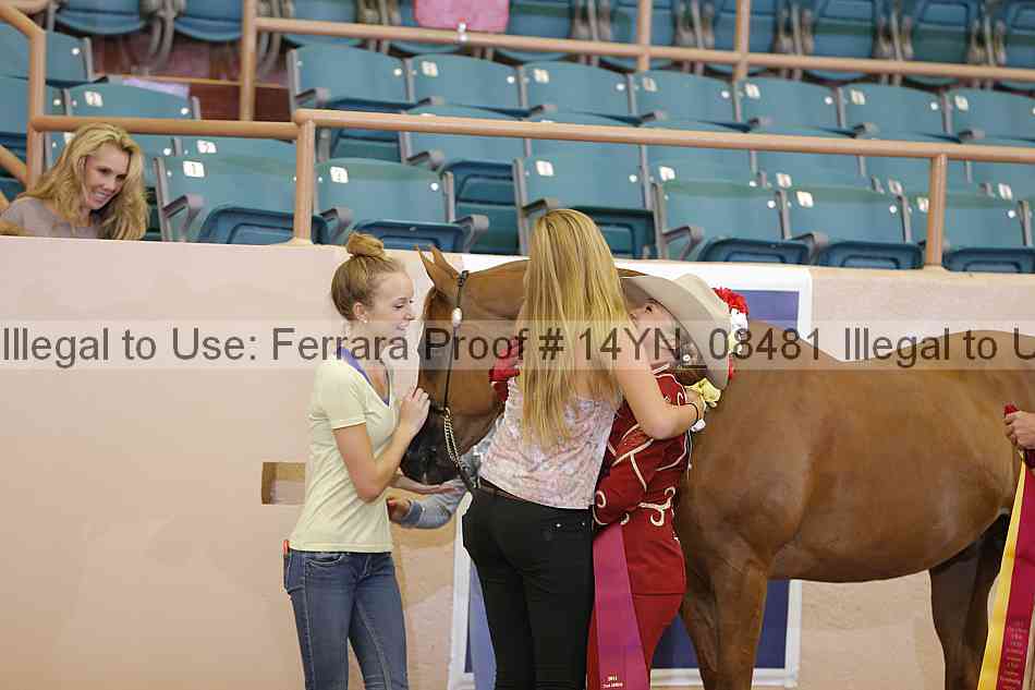 Proof 14yn_08481