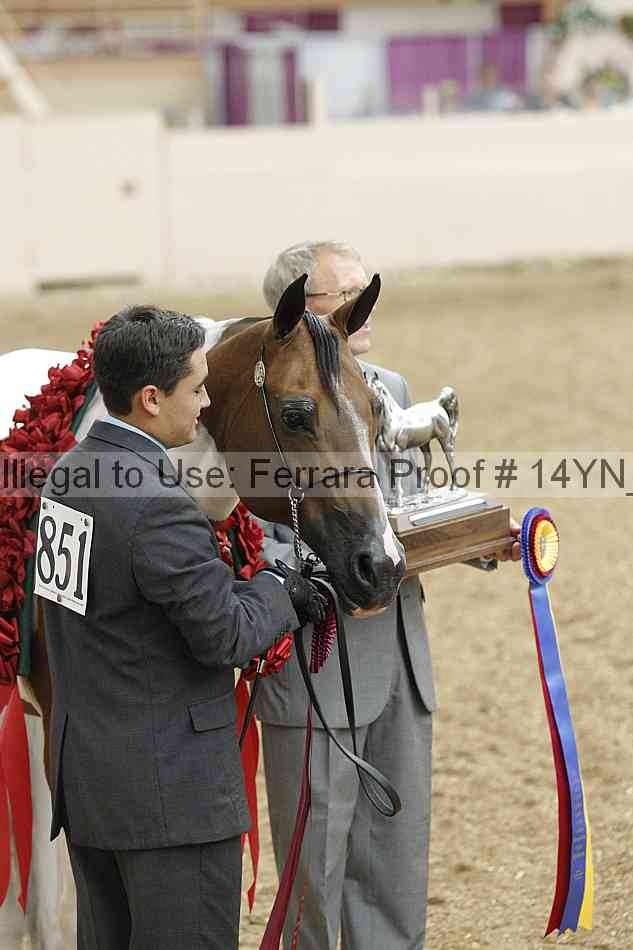 Proof 14yn_08506