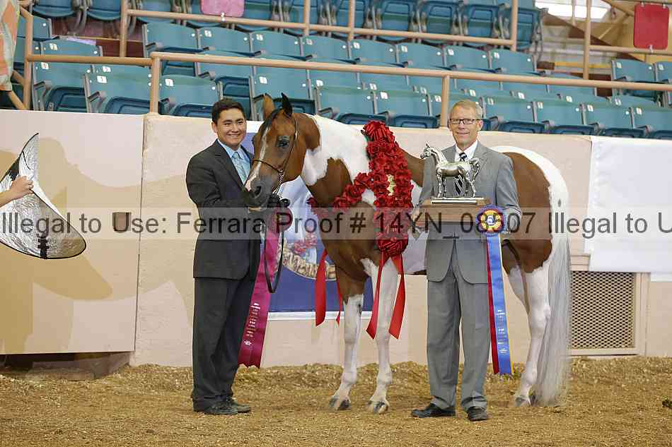 Proof 14yn_08507