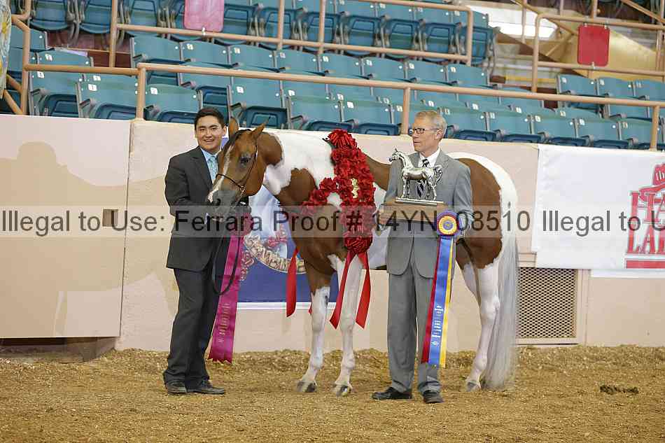 Proof 14yn_08510