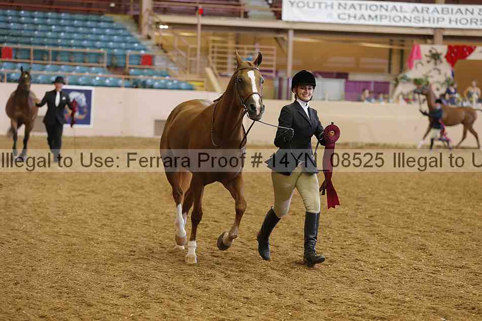 Proof 14yn_08525