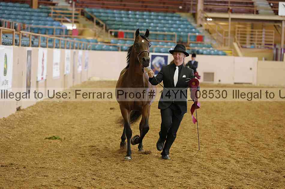 Proof 14yn_08530