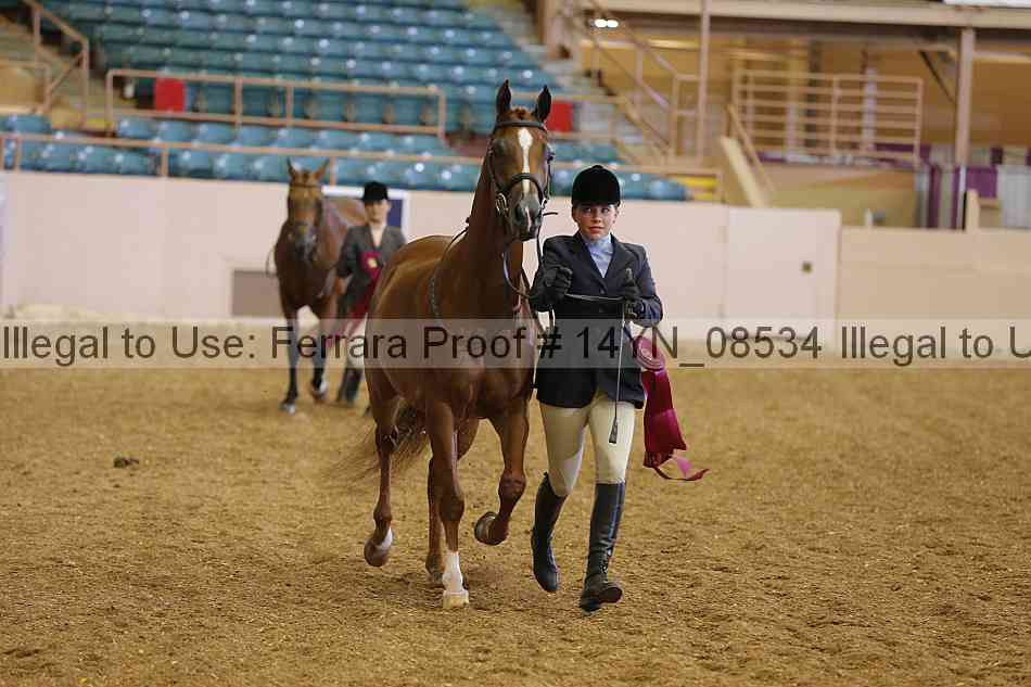 Proof 14yn_08534
