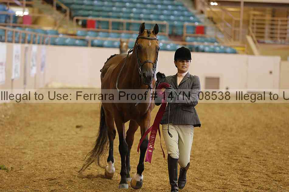 Proof 14yn_08538