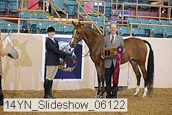 14yn_slideshow_06122 proof