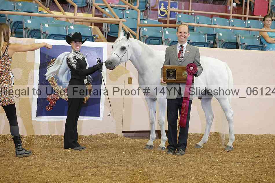 Proof 14yn_slideshow_06124
