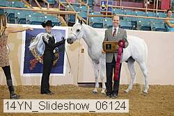 14yn_slideshow_06124 proof