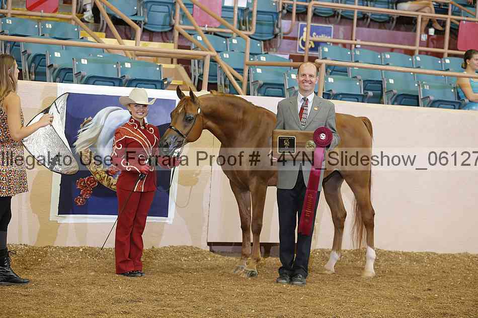 Proof 14yn_slideshow_06127