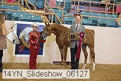 14yn_slideshow_06127 proof
