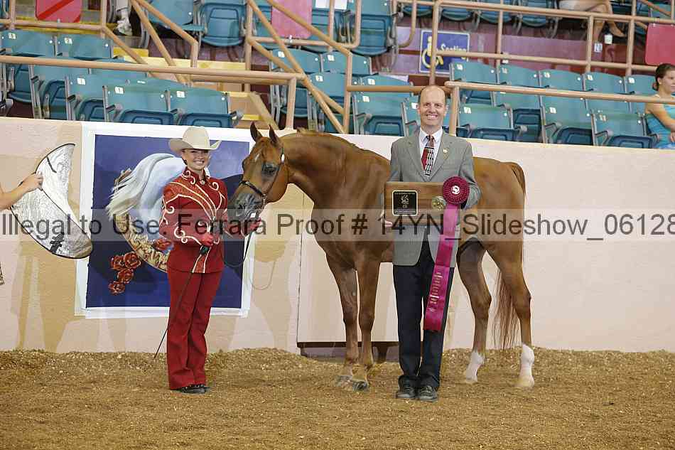 Proof 14yn_slideshow_06128