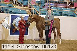 14yn_slideshow_06128 proof