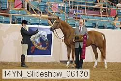 14yn_slideshow_06130 proof