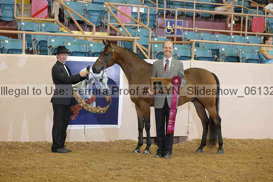 Proof 14yn_slideshow_06132