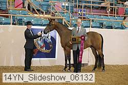 14yn_slideshow_06132 proof