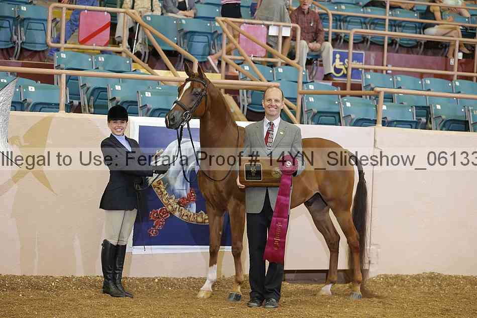 Proof 14yn_slideshow_06133