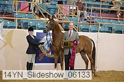 14yn_slideshow_06133 proof