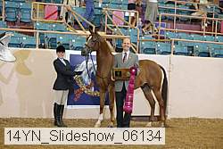 14yn_slideshow_06134 proof