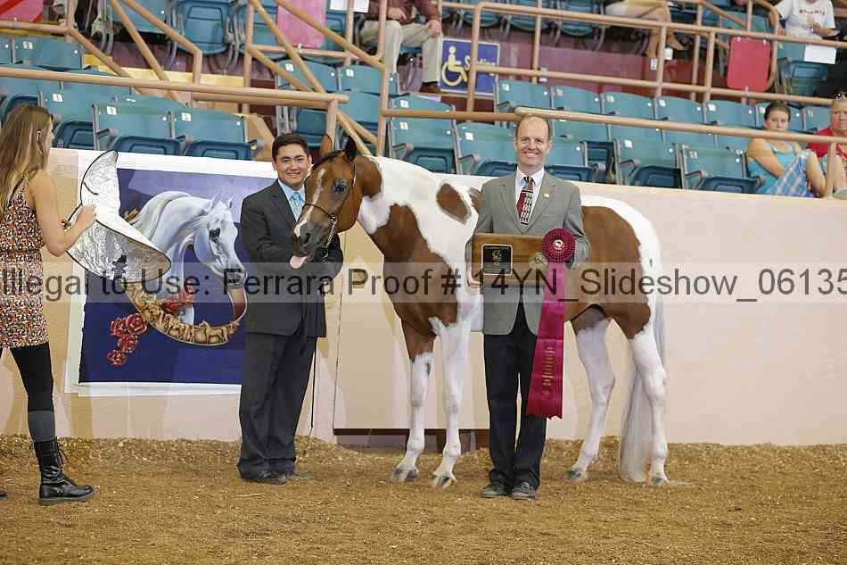 Proof 14yn_slideshow_06135