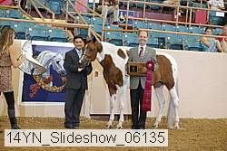 14yn_slideshow_06135 proof