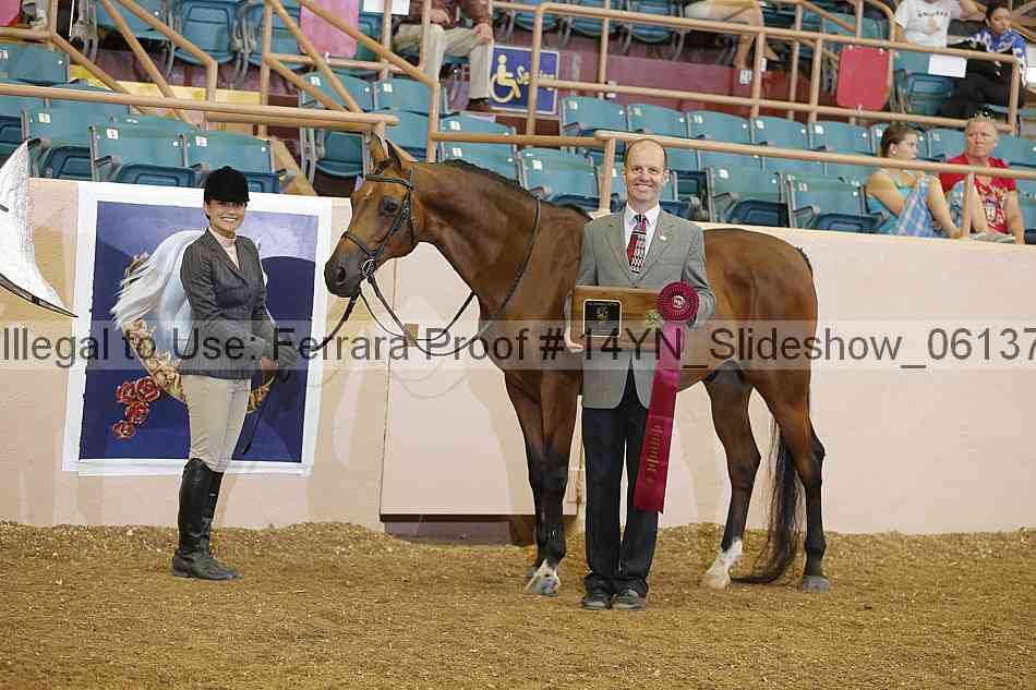 Proof 14yn_slideshow_06137