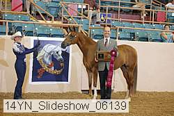 14yn_slideshow_06139 proof