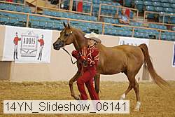 14yn_slideshow_06141 proof
