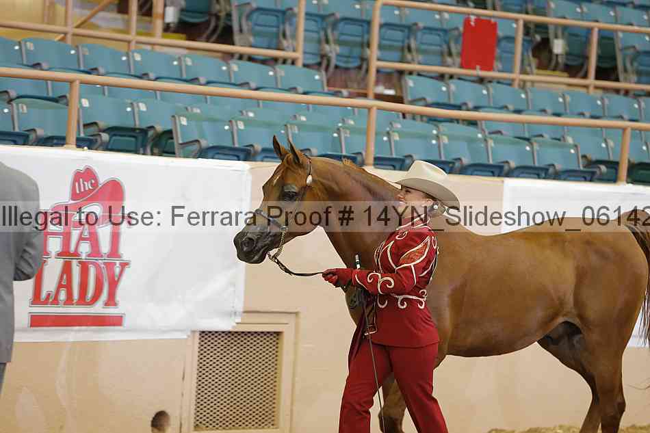 Proof 14yn_slideshow_06142