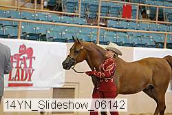 14yn_slideshow_06142 proof