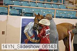 14yn_slideshow_06143 proof