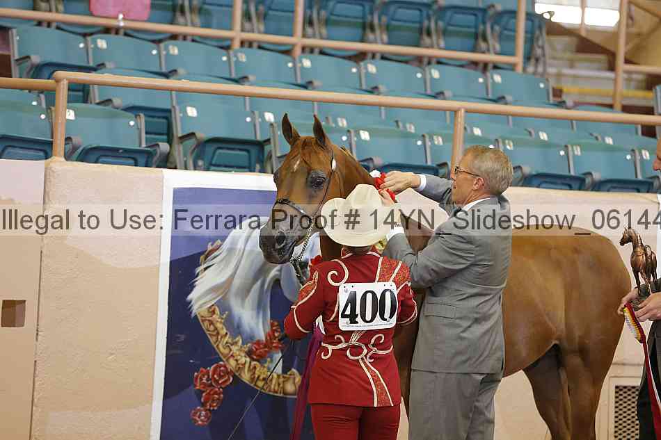 Proof 14yn_slideshow_06144