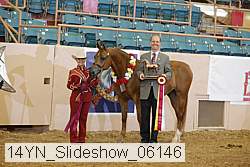 14yn_slideshow_06146 proof