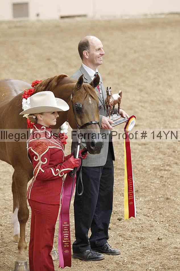 Proof 14yn_slideshow_06147