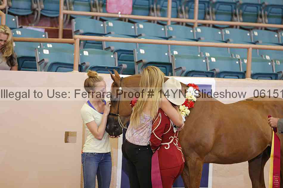 Proof 14yn_slideshow_06151