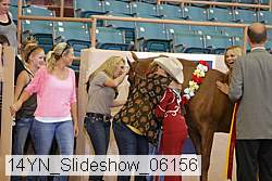 14yn_slideshow_06156 proof
