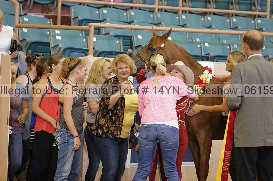 Proof 14yn_slideshow_06159