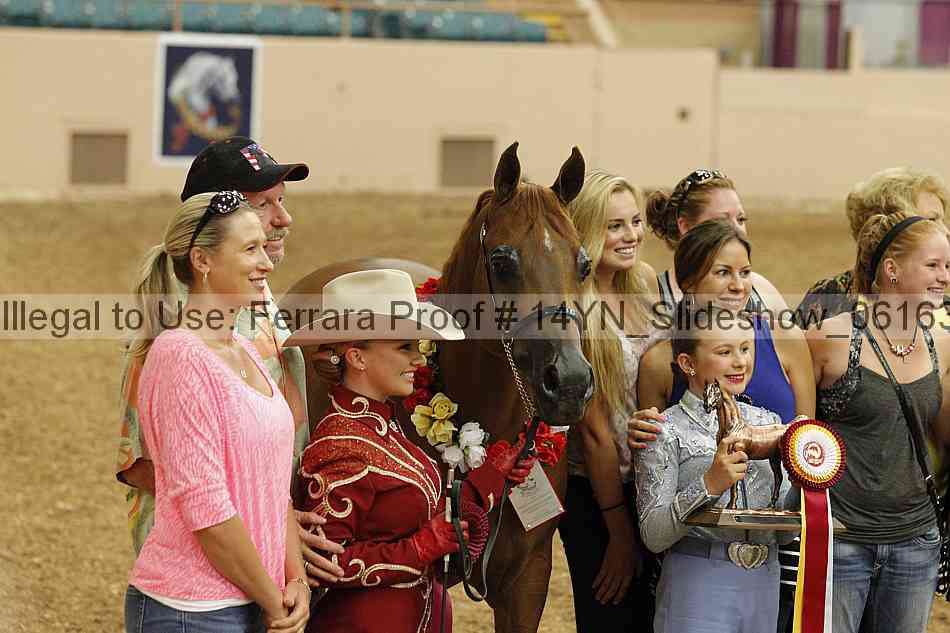 Proof 14yn_slideshow_06163
