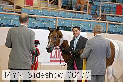 14yn_slideshow_06170 proof