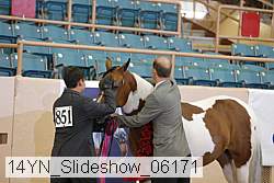 14yn_slideshow_06171 proof