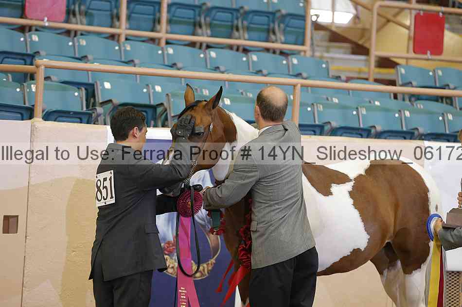 Proof 14yn_slideshow_06172
