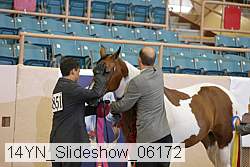 14yn_slideshow_06172 proof
