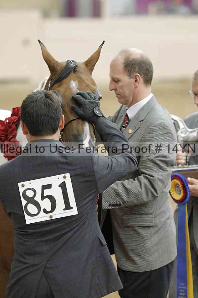 Proof 14yn_slideshow_06173